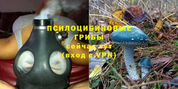 прущая мука Алексин