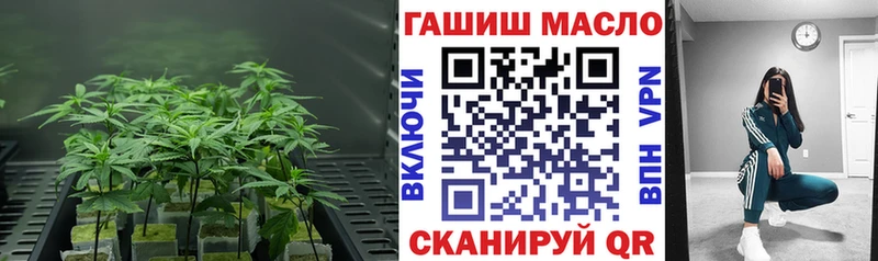 Дистиллят ТГК концентрат  наркотики  Карачаевск 