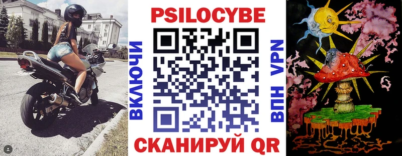маркетплейс как зайти Карачаевск Галлюциногенные грибы Psilocybe
